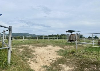 14.jpeg - Magazzino località dalmazzoni 1, Niella Tanaro - foto 14