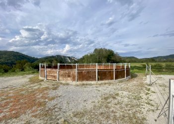 16.jpeg - Magazzino località dalmazzoni 1, Niella Tanaro - foto 16