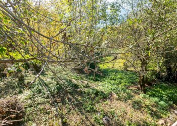 Independent house Via dei Fiori, snc, Sanfront - photo 32