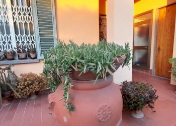 resede - Appartamento via Maremmana, Montelupo Fiorentino - foto 6