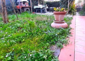 giardino - Appartamento via Maremmana, Montelupo Fiorentino - foto 16