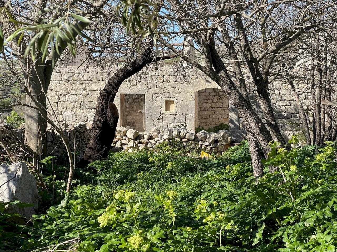 IMG_9454.jpg - Rustico Via Rag Orazio Giorgio Pluchino, Modica - foto 3