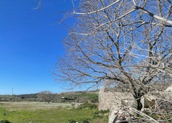 IMG_9448.jpg - Rustico Via Rag Orazio Giorgio Pluchino, Modica - foto 1