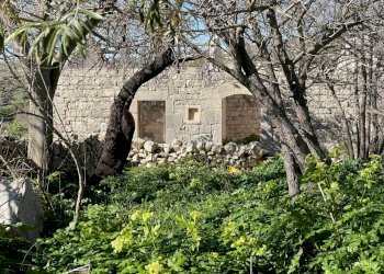 IMG_9454.jpg - Rustico Via Rag Orazio Giorgio Pluchino, Modica - foto 3