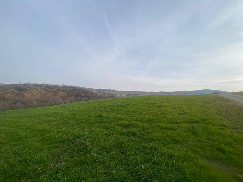 Agricultural land via del Pretorio, Sassuolo - photo 1