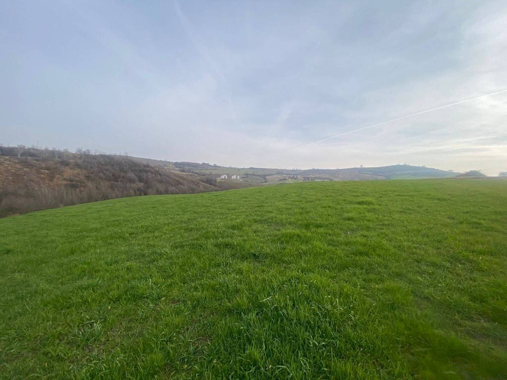 Agricultural land via del Pretorio, Sassuolo - photo 3