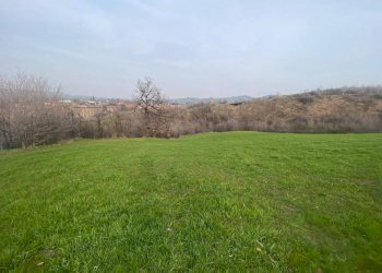 Terreno agricolo via del Pretorio, Sassuolo - foto 2