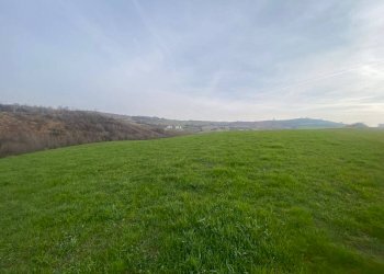 Terreno agricolo via del Pretorio, Sassuolo - foto 3