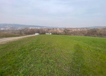 Terreno agricolo via del Pretorio, Sassuolo - foto 4