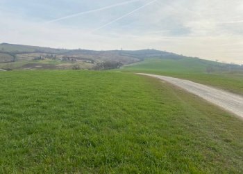 Terreno agricolo via del Pretorio, Sassuolo - foto 5