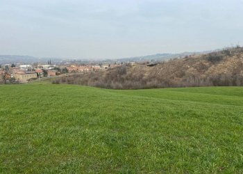 Terreno agricolo via del Pretorio, Sassuolo - foto 6