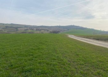 Terreno agricolo via del Pretorio, Sassuolo - foto 7