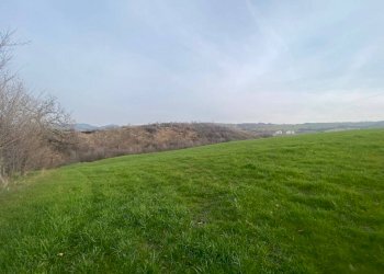 Terreno agricolo via del Pretorio, Sassuolo - foto 8