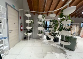 Negozio Reggio nell'Emilia - foto 2