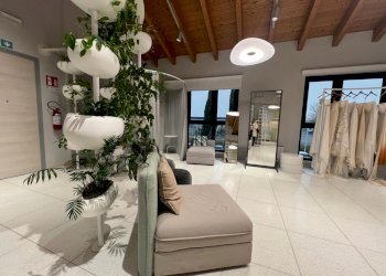 Negozio Reggio nell'Emilia - foto 3