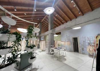 Negozio Reggio nell'Emilia - foto 4