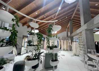 Negozio Reggio nell'Emilia - foto 5