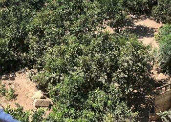 Appartamento Lampedusa e Linosa - foto 4