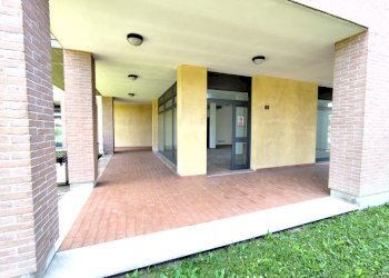 Negozio Gualtieri - foto 10