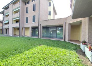 Negozio Gualtieri - foto 13