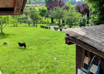Casa indipendente Albinea - foto 4