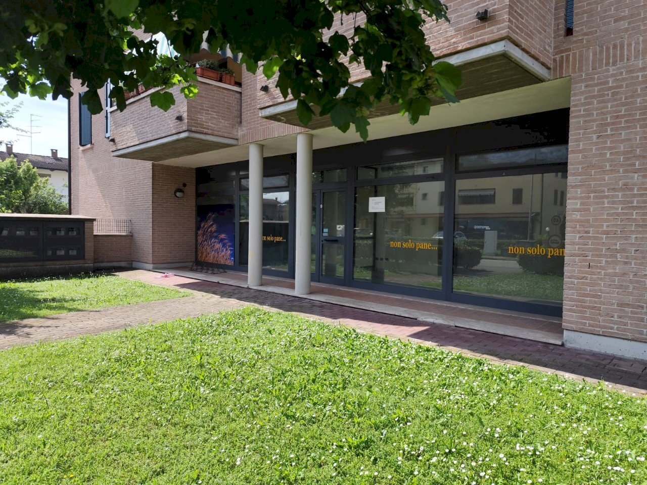 Negozio Gualtieri - foto 1