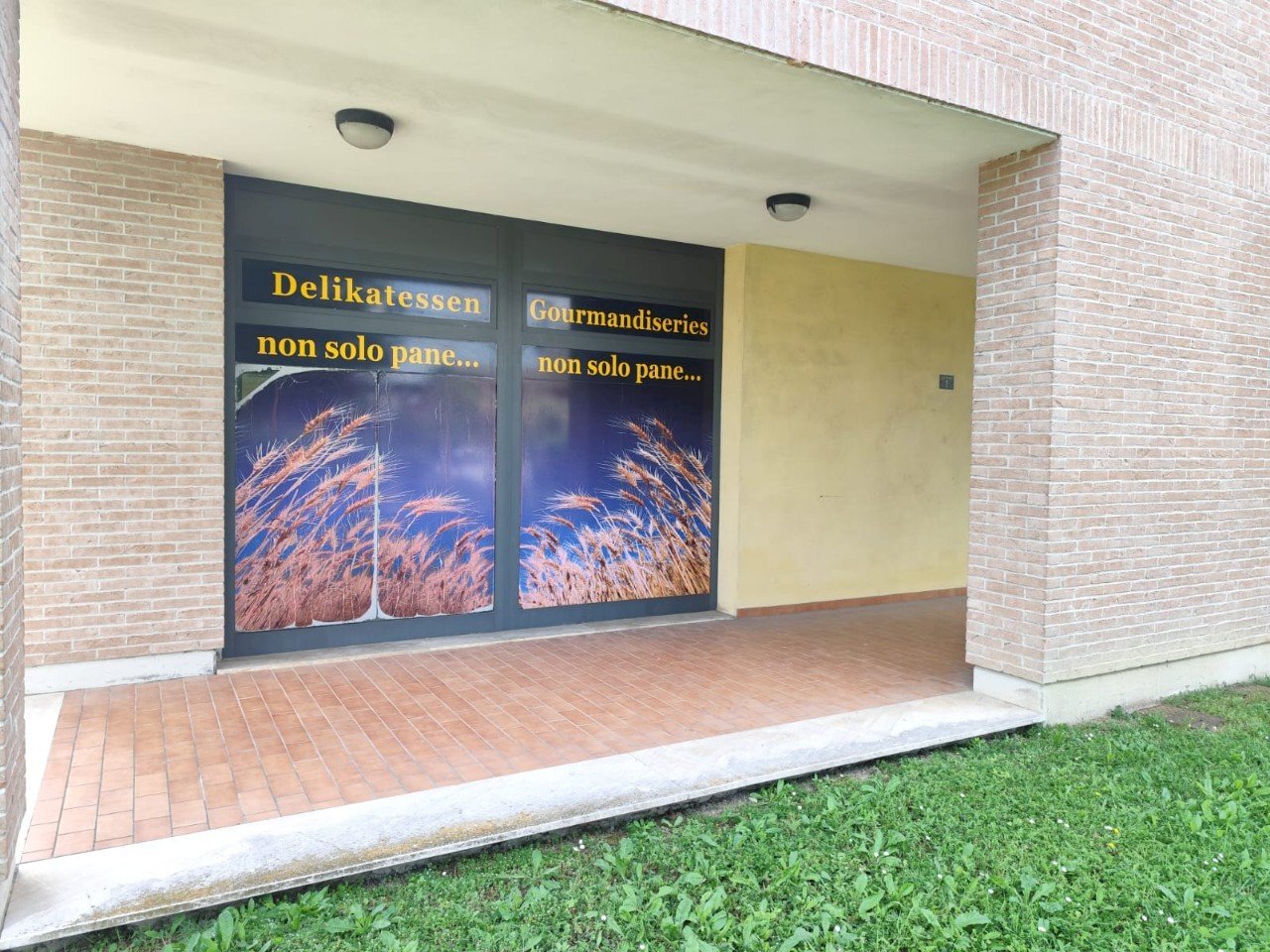 Negozio Gualtieri - foto 2