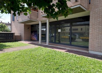 Negozio Gualtieri - foto 1