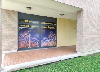 Negozio Gualtieri - foto 2