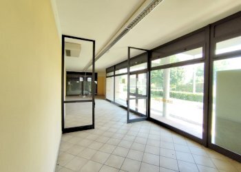 Negozio Gualtieri - foto 4