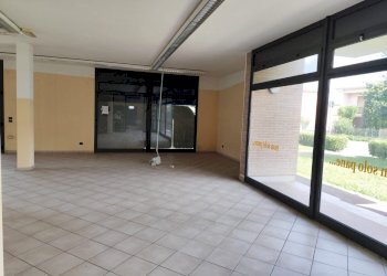 Negozio Gualtieri - foto 8