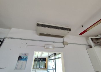 Negozio Gualtieri - foto 16