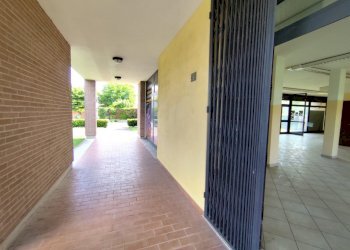 Negozio Gualtieri - foto 22