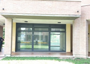 Negozio Gualtieri - foto 23