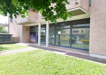 Negozio Gualtieri - foto 24