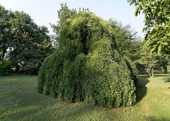 Villa Unifamiliare Albinea - foto 9