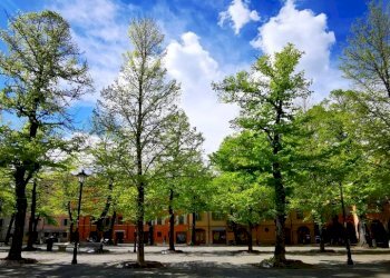 Attico Reggio nell'Emilia - foto 4