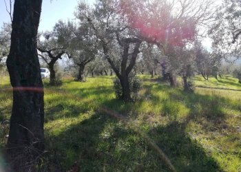 Terreno - Terreno agricolo via Cianfronara, Fara in Sabina - foto 5