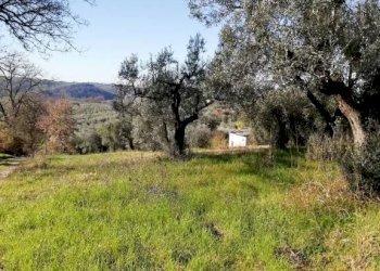 Terreno - Terreno agricolo via Cianfronara, Fara in Sabina - foto 6