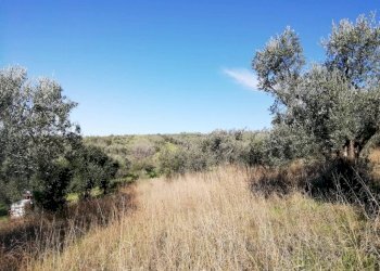 Terreno - Terreno agricolo via Cianfronara, Fara in Sabina - foto 9