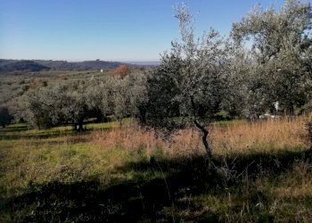 Terreno - Terreno agricolo via Cianfronara, Fara in Sabina - foto 12