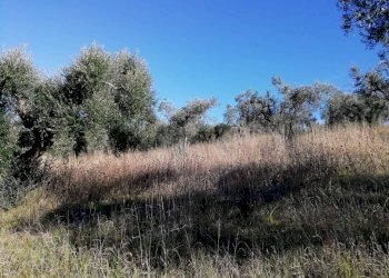 Terreno - Terreno agricolo via Cianfronara, Fara in Sabina - foto 14