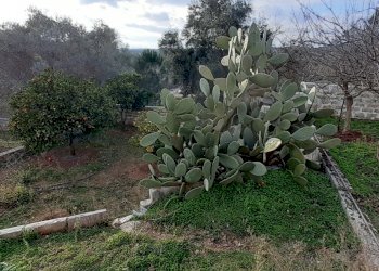 tr1.jpg - Villa canicattini bagni, Canicattini Bagni - foto 15