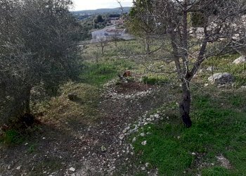 tr2.jpg - Villa canicattini bagni, Canicattini Bagni - foto 16