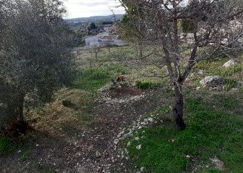 tr3.jpg - Villa canicattini bagni, Canicattini Bagni - foto 17