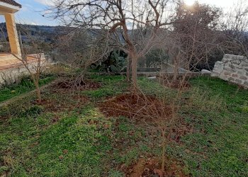 tr4.jpg - Villa canicattini bagni, Canicattini Bagni - foto 18