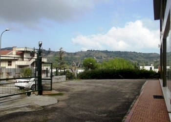 capannone grottammare (18).JPG - Capannone Acquaviva Picena - foto 2