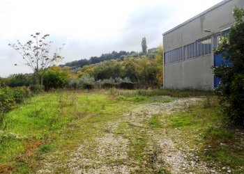 capannone grottammare (4).JPG - Capannone Acquaviva Picena - foto 6