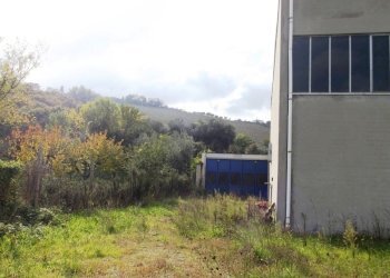 capannone grottammare (6).JPG - Capannone Acquaviva Picena - foto 20