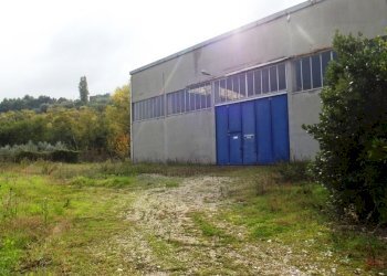 capannone grottammare (3).JPG - Capannone Acquaviva Picena - foto 4